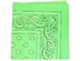 Mechaly Paisley 100% Cotton Double Sided Bandanas - 36 Pack - Neon Green