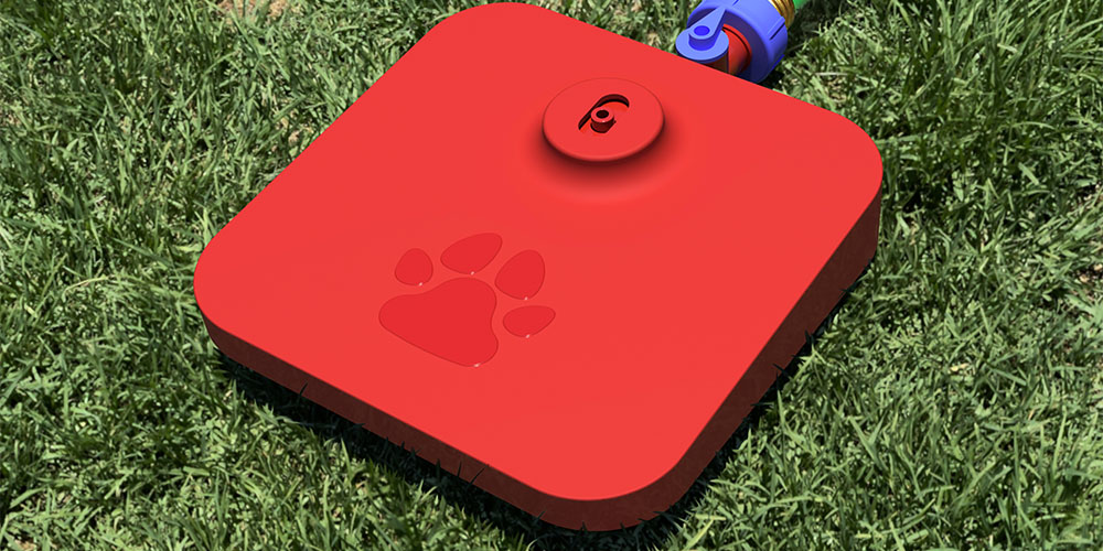 Quirky Pawcet Drinking Fountain for Dogs