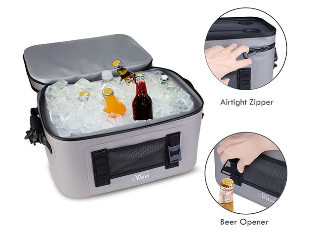 Artestia 23-Can Insulated Leakproof Cooler Bag 