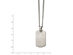 Mens Titanium Dog Tag Pendant Necklace with Diamond Accent and Chain