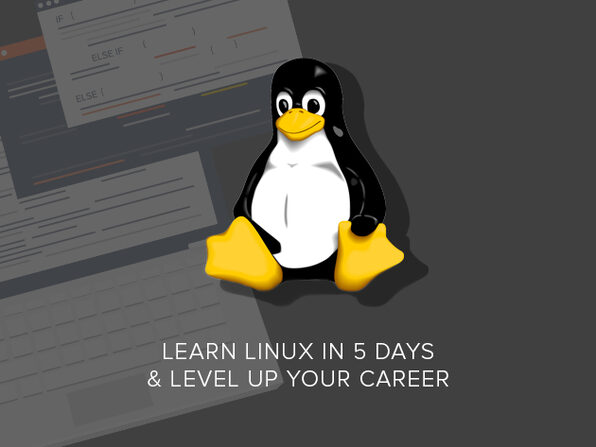 Learn Linux in 5 Days & Level Up Your Career - Product Image