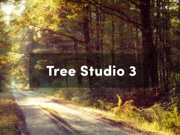 Tree Studio 3