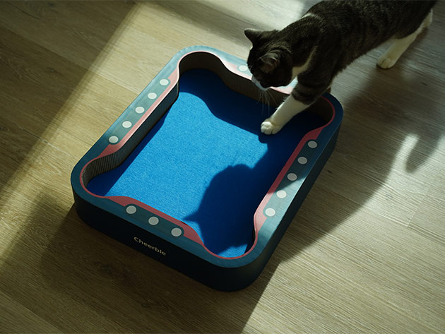 Cheerble Board Game: All-in-One Interactive Toy for Cats (Blue/Grey)