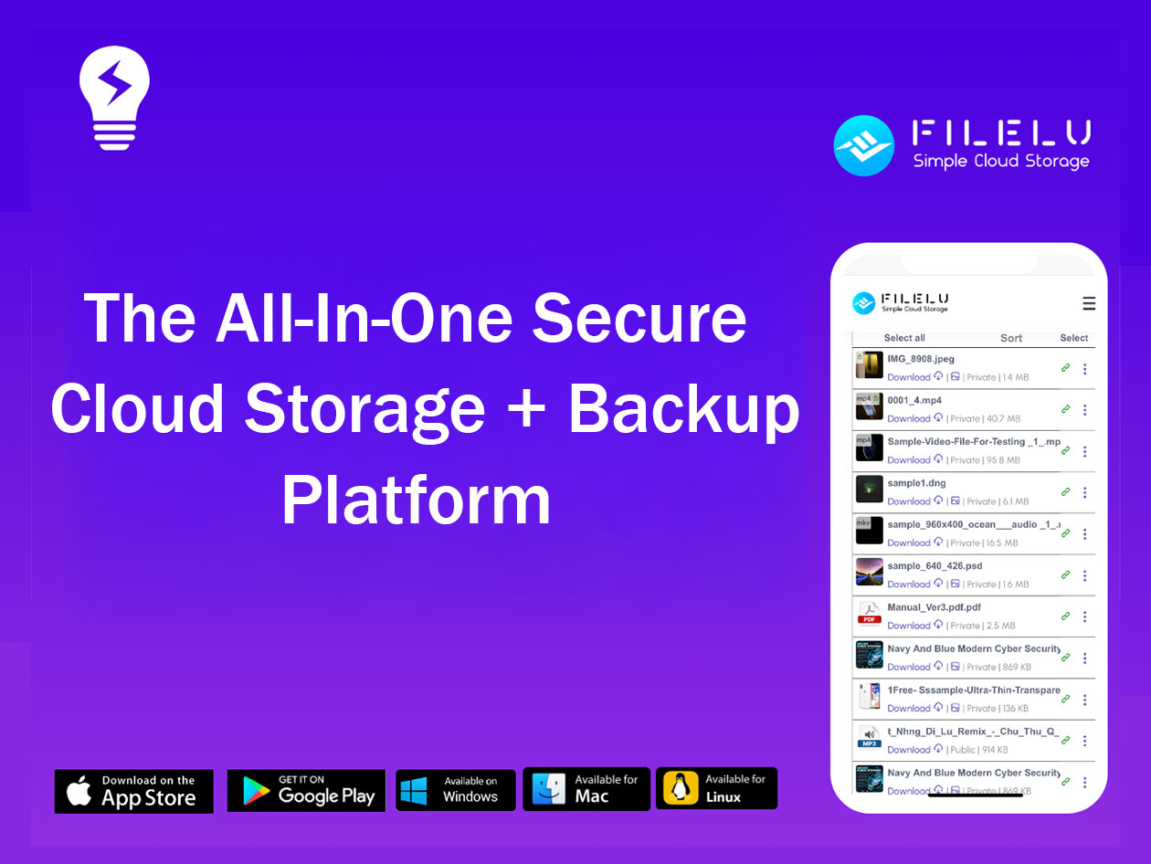 FileLu Cloud Storage Premium Plan: Lifetime Subscription (4TB)
