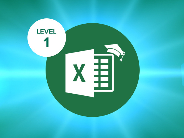 Excel 2016 Level 1