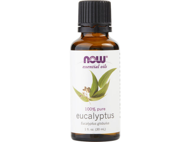 ESSENTIAL OILS NOW by NOW Essential Oils EUCALYPTUS OIL 1 OZ for UNISEX ---(Package Of 6)