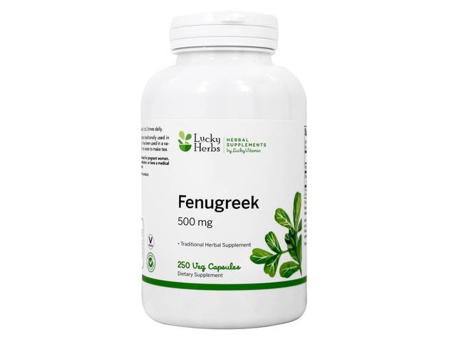 LuckyHerbs - Fenugreek Traditional Herb (Value Size) 500 mg. - 250 Veg Capsules