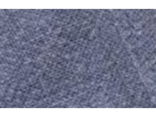 Stetson Men's Plaid Newsboy Cap Blue Size Medium