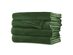 Sunbeam Velvet Plush Electric Heated Blanket Queen Size Ivy Green Washable Auto Shut Off 20 Heat Settings - Ivy