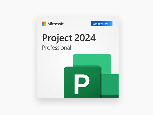 Microsoft Project Professional 2024: Lifetime License for Windows