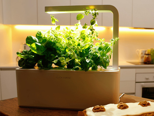 Smart Herb Garden Starter Kit & 3-Pack Refill (International)