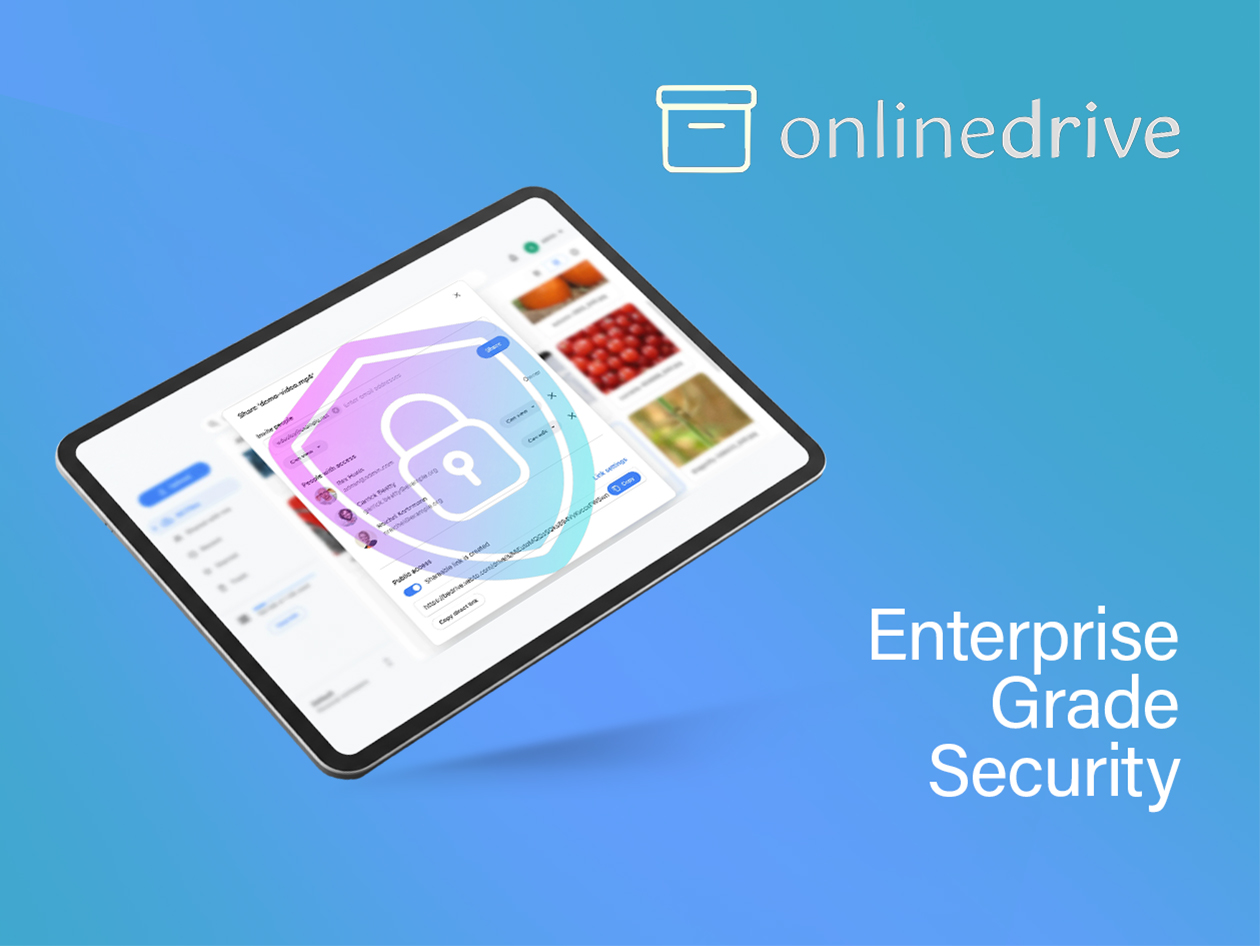 OnlineDrive Cloud Storage: Lifetime Subscription (Business Plan/2TB)