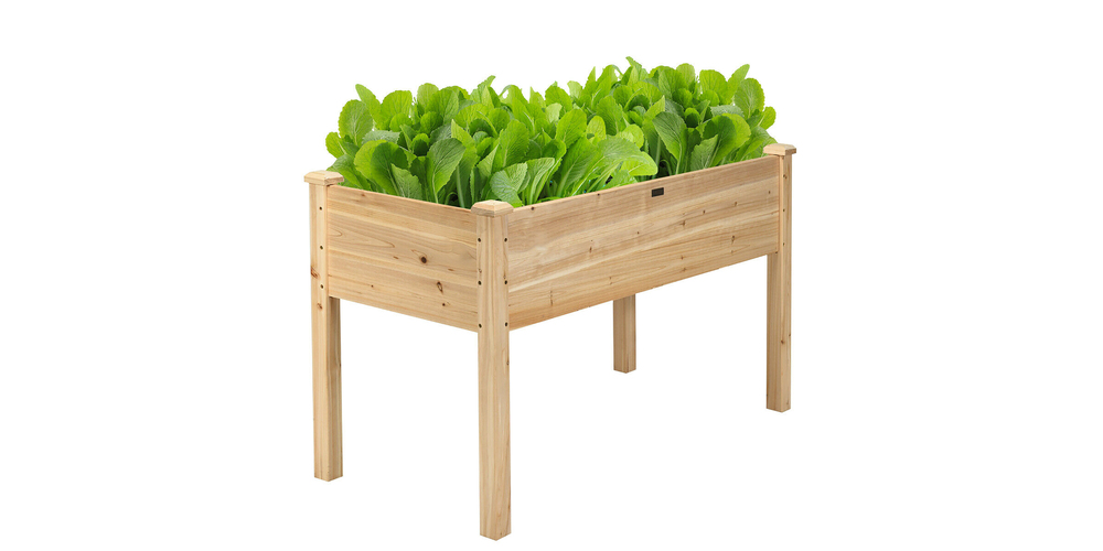 Gear up for spring with these 17 gardening must-haves