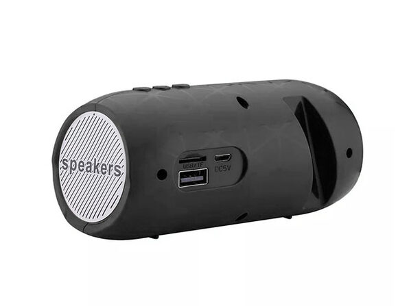 2 bluetooth speakers 1 phone