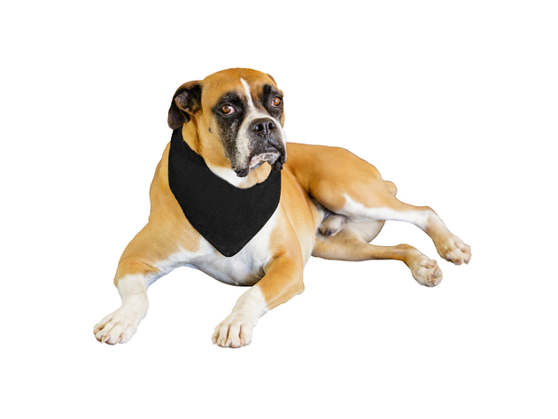 2-Pack Solid Polyester Dog Neckerchief Triangle Bibs - Extra Large - Black