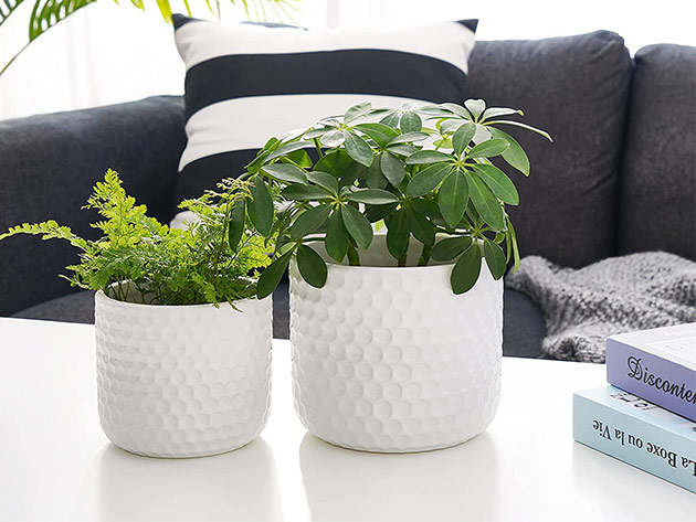 Potey 6" & 5" Ceramic Planter Set