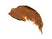 Amazing Concealer Hydrate (Deep Golden)