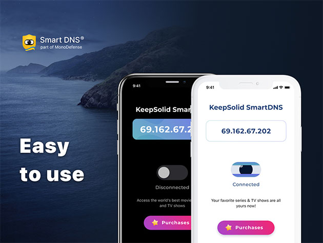 KeepSolid SmartDNS: Lifetime Subscription