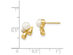14K Yellow Gold Freshwater Cultured Pearl Post Earrings