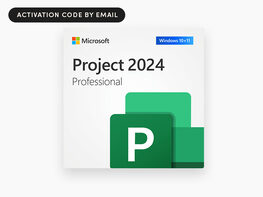 Microsoft Project Professional 2024: Lifetime License for Windows