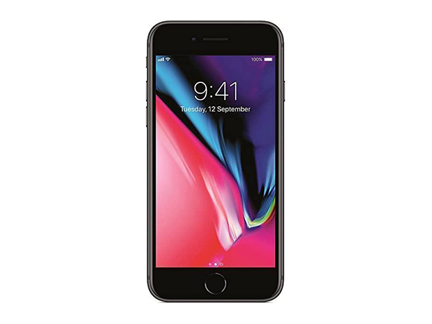 Apple iPhone 8 Plus (A1864) 64GB  - Space Gray (Grade A+ Refurbished: Wi-Fi + Unlocked)