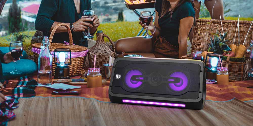 A black and purple loudspeaker at a picnic 