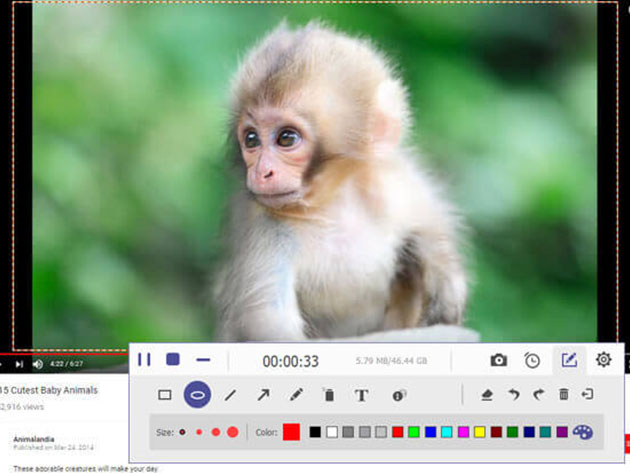 AnyMP4 Screen Recorder for Mac