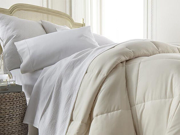 Ienjoy Home Down Alternative Comforter Ivory Cnn Store