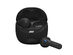 JBL Tune Flex 2 Earbuds (Open Box)