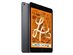 Apple iPad Mini 5 (2019) 7.9" Retina 256GB - Gray (Refurbished: Wi-Fi Only)