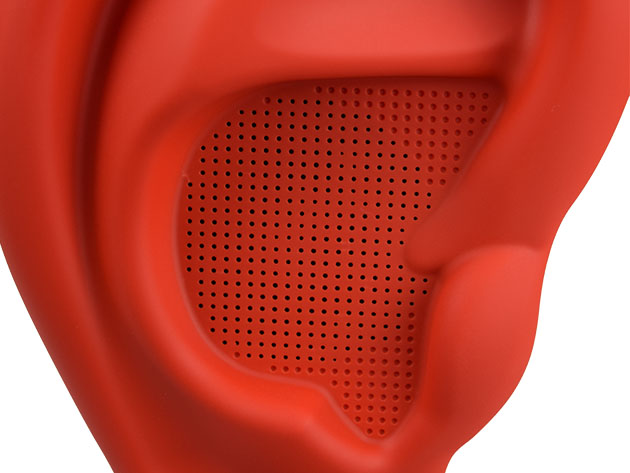 SpeakEar Portable Speaker