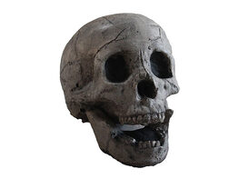 Ceramic Fireplace Aged Skull