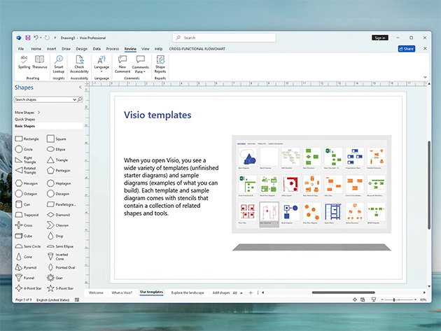 Microsoft Visio Professional 2024: Lifetime License for Windows