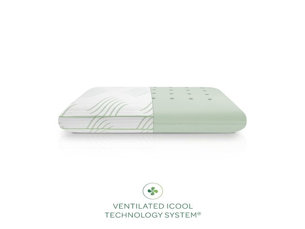 SensorPEDIC Aloe Vera Standard Memory Foam Pillow with Built-In iCOOL Technology System, White
