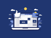 Facebook Ads: Marketing your WordPress Website's Products - Product Image