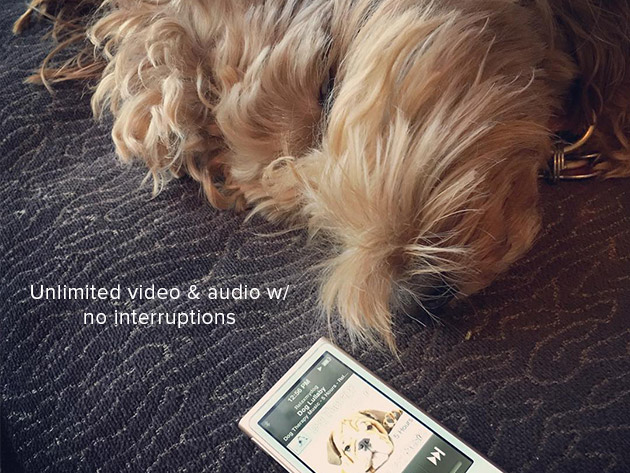 Relax My Dog Video Streaming: 3-Yr Subscription