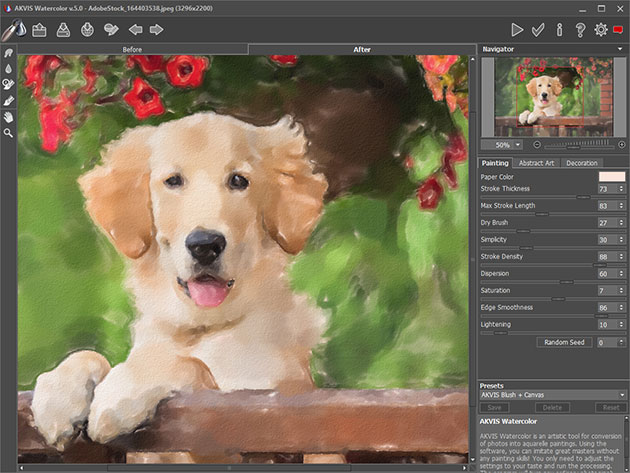 Akvis Watercolor: Lifetime License (Business)
