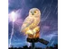 2-Pack Owl Figure Solar LED Lights