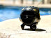 GravaStar Venus Bluetooth Speaker