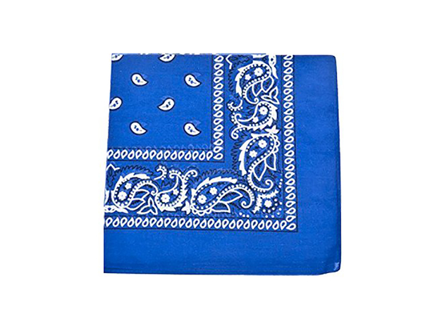 Pack of 20 XL Non Fading Paisley Polyester Bandanas 27 x 27 In - Bulk ...