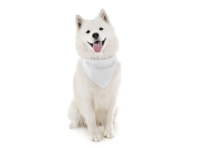 Dog Bandanas - 6 Pack - Scarf Triangle Bibs for Small, Medium and Large Puppies, Dogs and Cats - White
