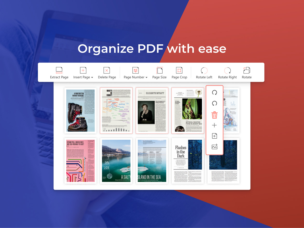 PDF Agile Premium: All-in-One Lifetime Subscription (Windows & Mac)