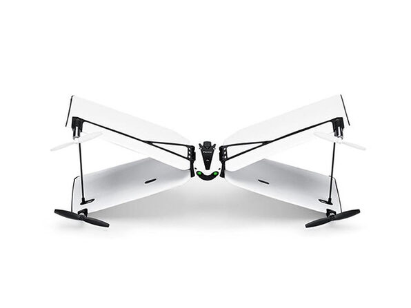 parrot swing white