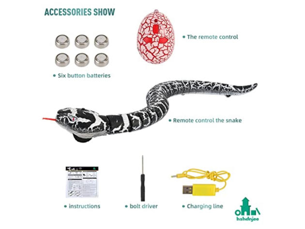 Remote Control Snake Toy