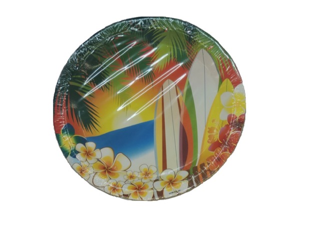 Hawaii Luau Tropical Surfing Party Large 9 Inch Round Lunch Dinner Plates