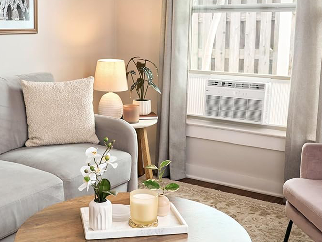 LG 8,000 BTU (330 sq. ft.) Window Air Conditioner