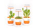  PICO Smart Indoor Herb Planter