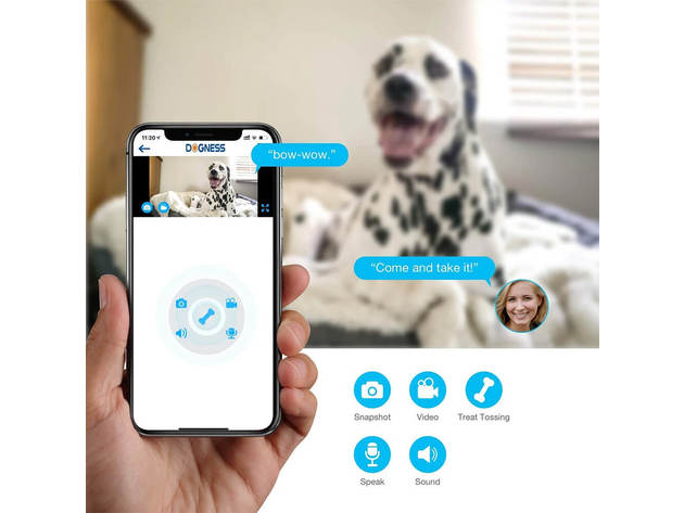 Dogness SMRCAMTRTWH Pet Treat Dispenser with Camera - White