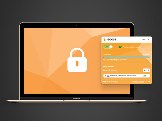 GOOSE VPN: Lifetime Subscription 