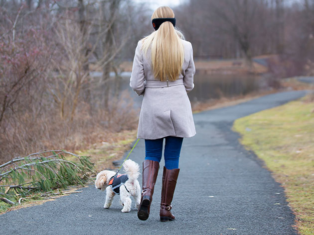 5V Rechargeable Waterproof Heated Dog Vest (Medium)